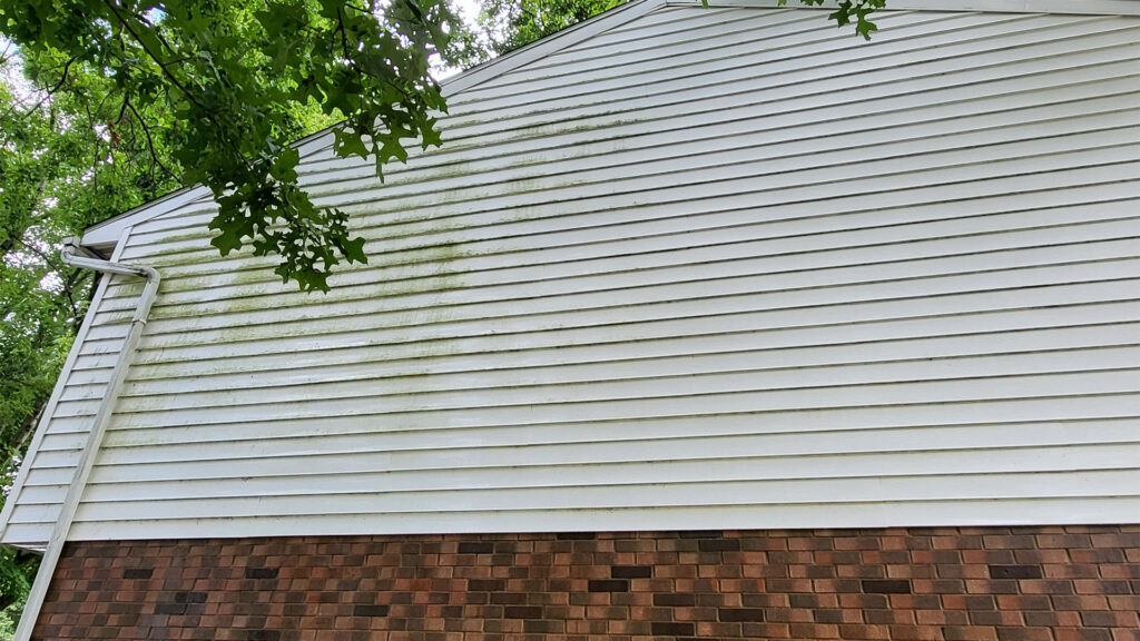 Understanding the Green on Your Siding: Causes, Effects, and Solutions