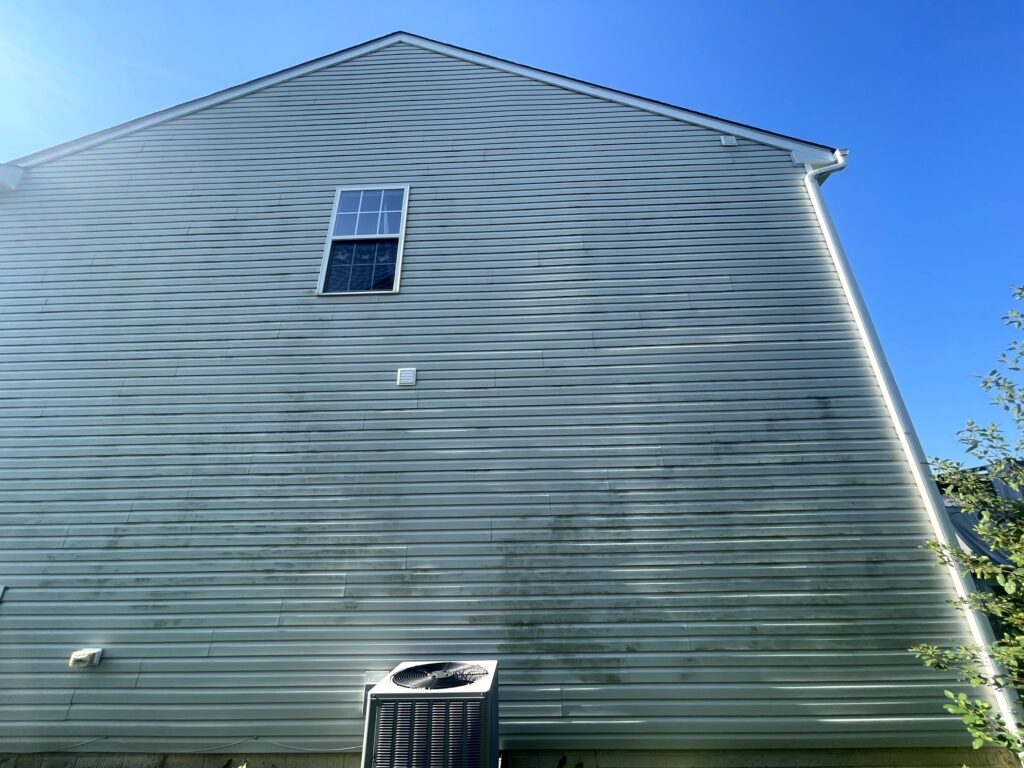 mold on house