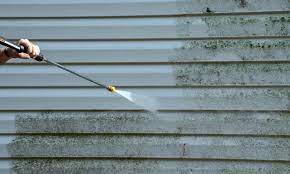 The Impact of Pressure Washing on Siding: Understanding Risks and Alternatives